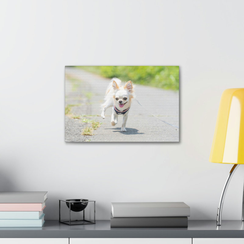 No Frame Print on Canvas, 27.94cm H x 35.56cm W