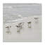 Scurrying Sandpiper Birds, toile par Natalie Carpentieri-15434186