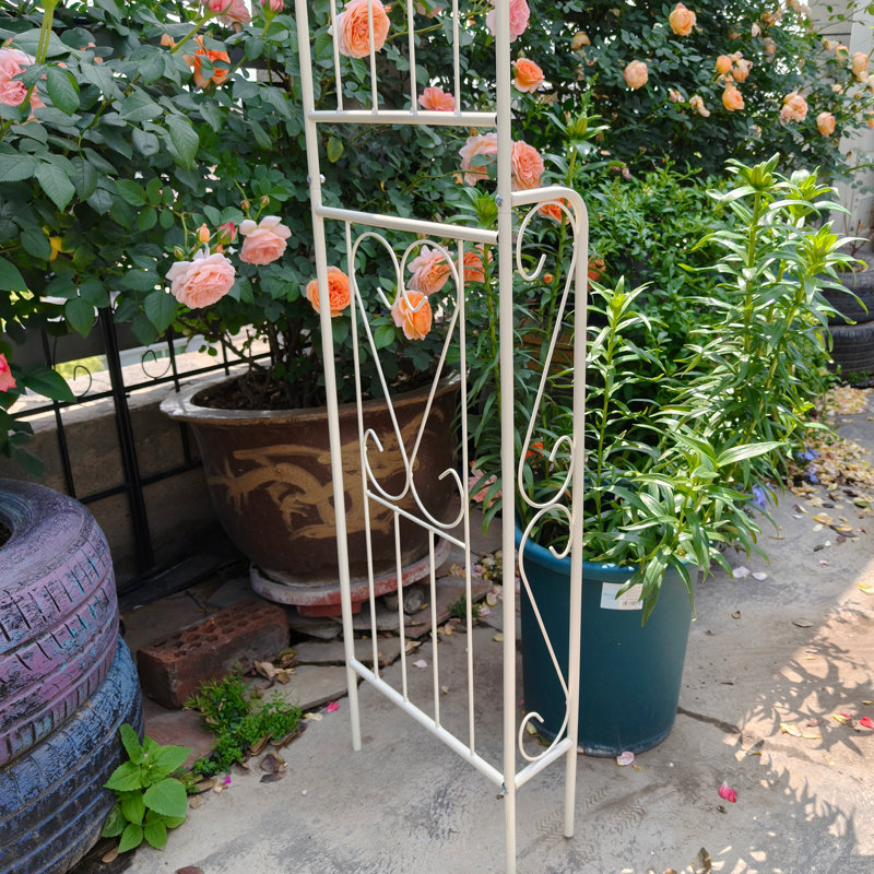 Arche de jardin en métal l 55 po x H 94,5 po Arbora, Blanc, crème