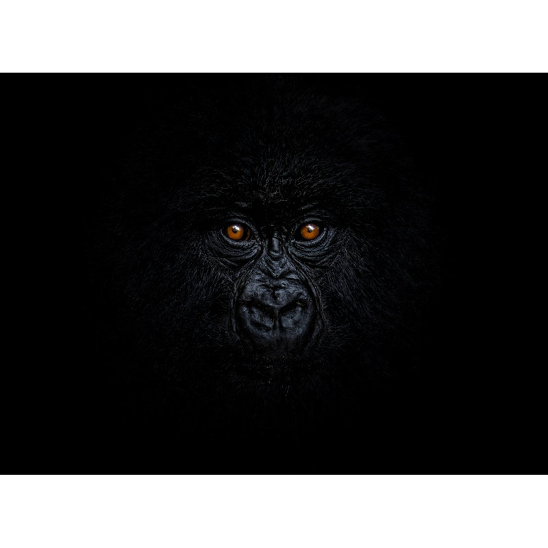 Wrapped Canvas Print, 50.8 cm H x 76.2 cm W
