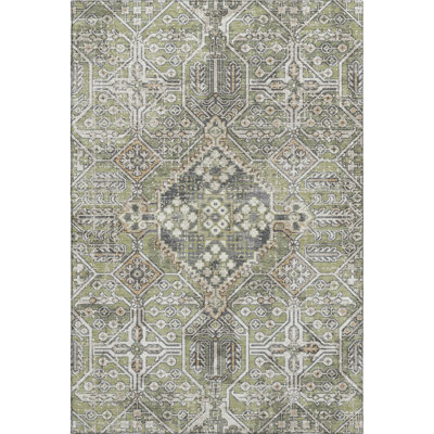 Premium Machine Washable Mayfield AMF2197 global Rug