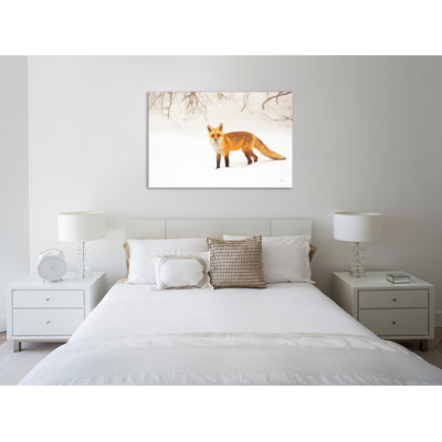 "Red Fox IV", toile tendue par Aledanda