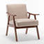 Chaise d'appoint Mid-Century avec accoudoirs Modern-129998473