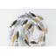 Gathering of Fish Wall Sculpture