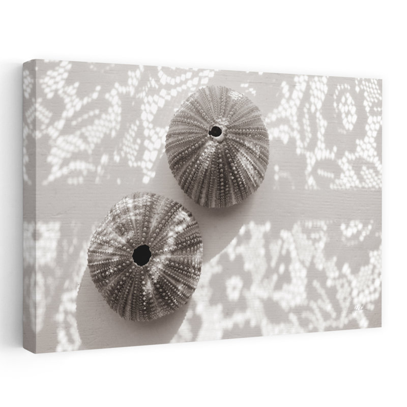 Oursins en dentelle I Photographie contemporaine en noir et blanc, H 60 po x l 40 po