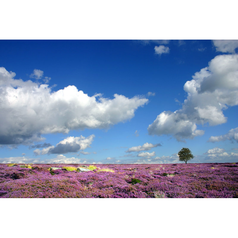 Moorland Heather Landscape by Redmark, 12" H x 18" W