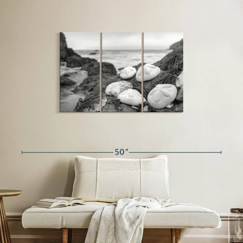 Coquille de plage Brampt White Crescent IV, H 24 po x l 38 po