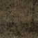 Kimber Indoor Rug