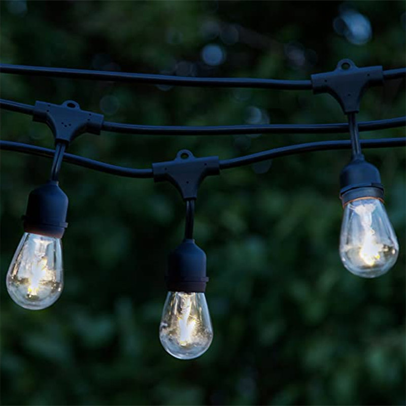 Ambience Pro Edison Black LED Outdoor String Lights, 48 Ft.