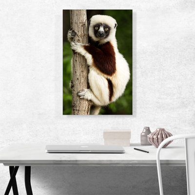 Lemur Home Decor - Reproduction de photo sur toile tendue
