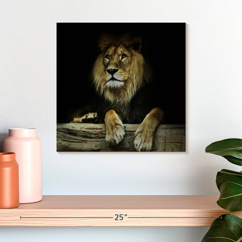 Brampt Imperious Lion, 16" H x 16" W
