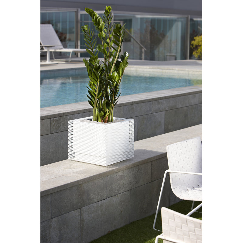Metal Planter Box, White, 35cm H x 38cm W x 38cm D