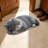 Flock carpet Cute   Diatomaceous Earth Doormat  Water Absorb Fast Dry Bathroom Floor Mat Non   Clean Entrance Front Door Rug For Home Decor-135367774