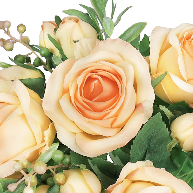 Doux jet de rose délicat, Pêche