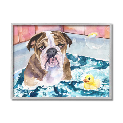 Bulldog anglais dans des bulles de canard en caoutchouc