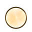 Neptune Sconce-1880334964