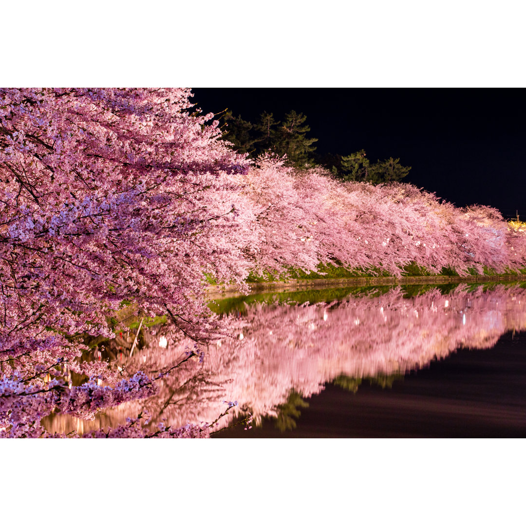 Sakura Trees von Masafarnorth - Kunstdrucke auf Leinwand