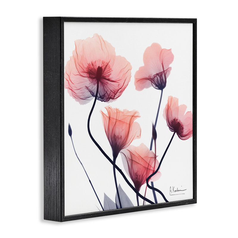 Giclée rose simple et chic encadrée, design par Albert Koetsier, H 17 po x l 17 po, Giclée encadrée noir minuit