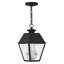 Lanterne suspendue d'extérieur 2 lumières Arnetria-22670195
