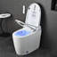 Toilettes intelligentes conformes aux normes ADA avec siège chauffant, bidet intégré, séchoir à air chaud, ouverture automatique du couvercle, télécommande, veilleuse, entraxe de 30,5 cm (12 po).