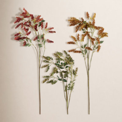Pedersen Hops Stems