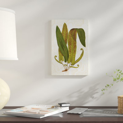 " Garden Ferns I "