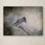 «Vidur» par Winter's Light, impression sur toile tendue-22074499