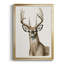 «Handsome Whitetail I», impression sur papier-982521389-982521388