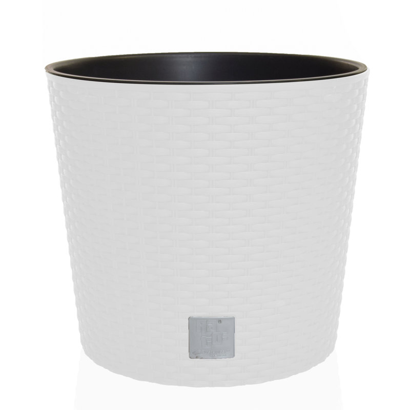 Crimson Cachepot, White