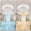 Ceiling Fan with LED Lights