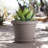 Terra Traditional Plastic Indoor/Outdoor Pot Planter-706139629-706139604