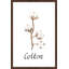 Gossypium - Single Picture Frame Print-689841432