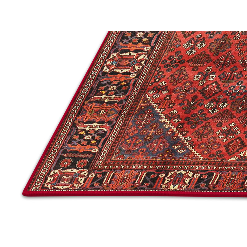 Dellrey Oriental Indoor Rug, Rectangle 7' x 10'