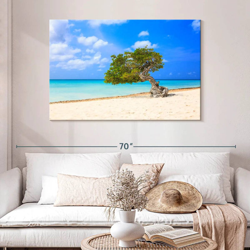 Arbre solitaire sur la plage d'Aruba, H 32 po x l 48 po