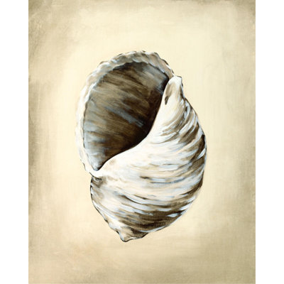 Seashells III Print by Sydney Edmunds