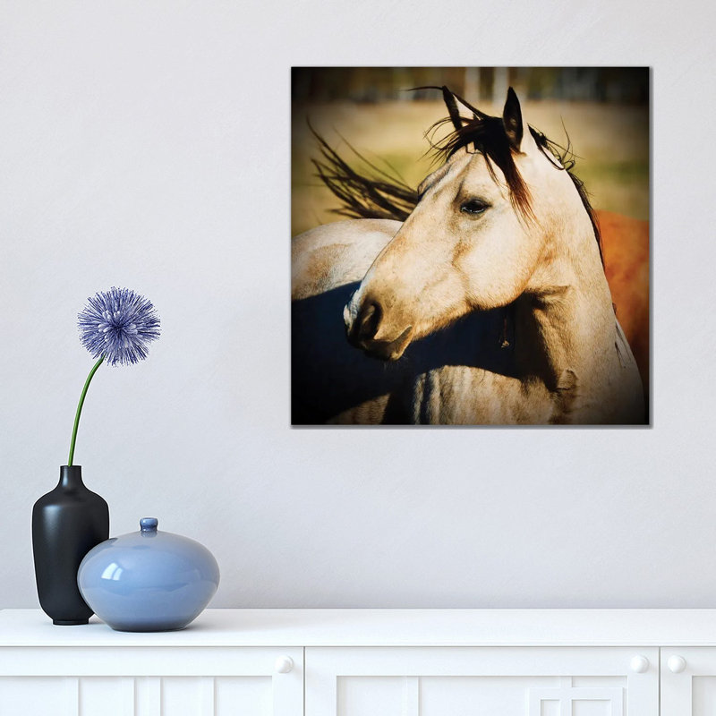 Horse Profile 1 Piece Wrapped Canvas Wall Art, 45.72 cm H x 45.72 cm W x 3.175 cm D