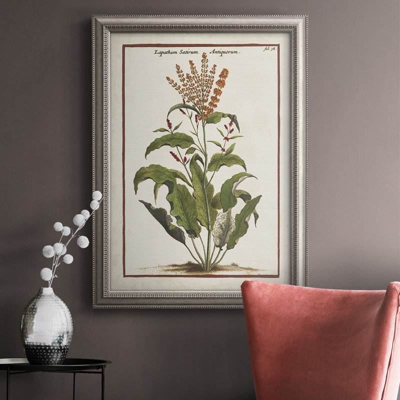 «Munting Botanicals I», reproduction d'art sur toile, L 16 po x H 20 po