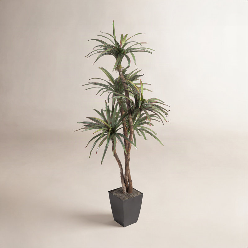72'' Faux Dracaena Tree in Planter