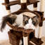 Grand arbre à chat 75 "Amariani-1785950817