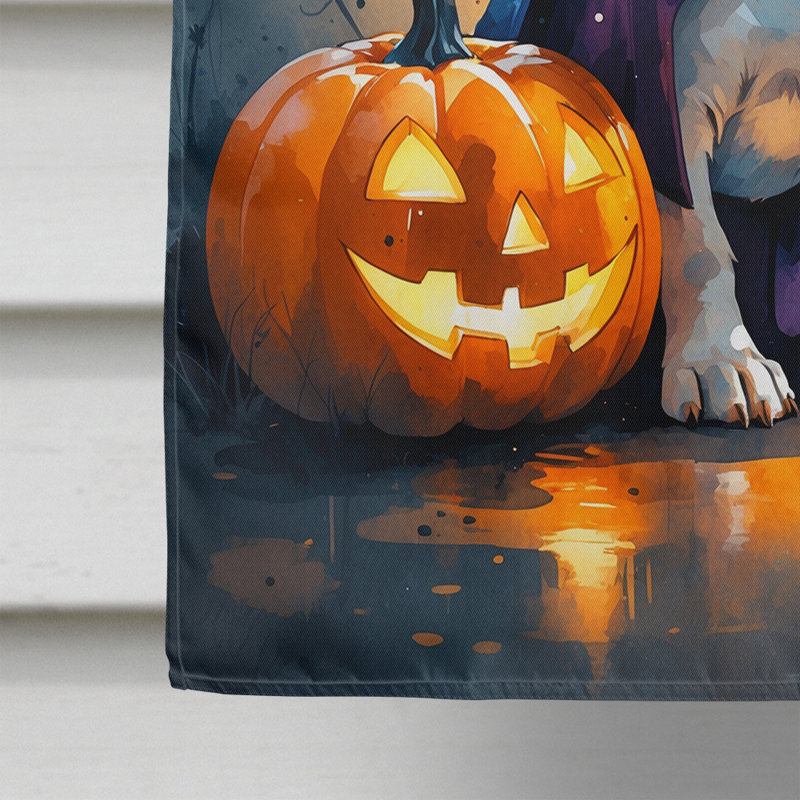 Drapeau de chiot Halloween House, Beagle