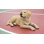 Labrador Retriever Lying Down Statue