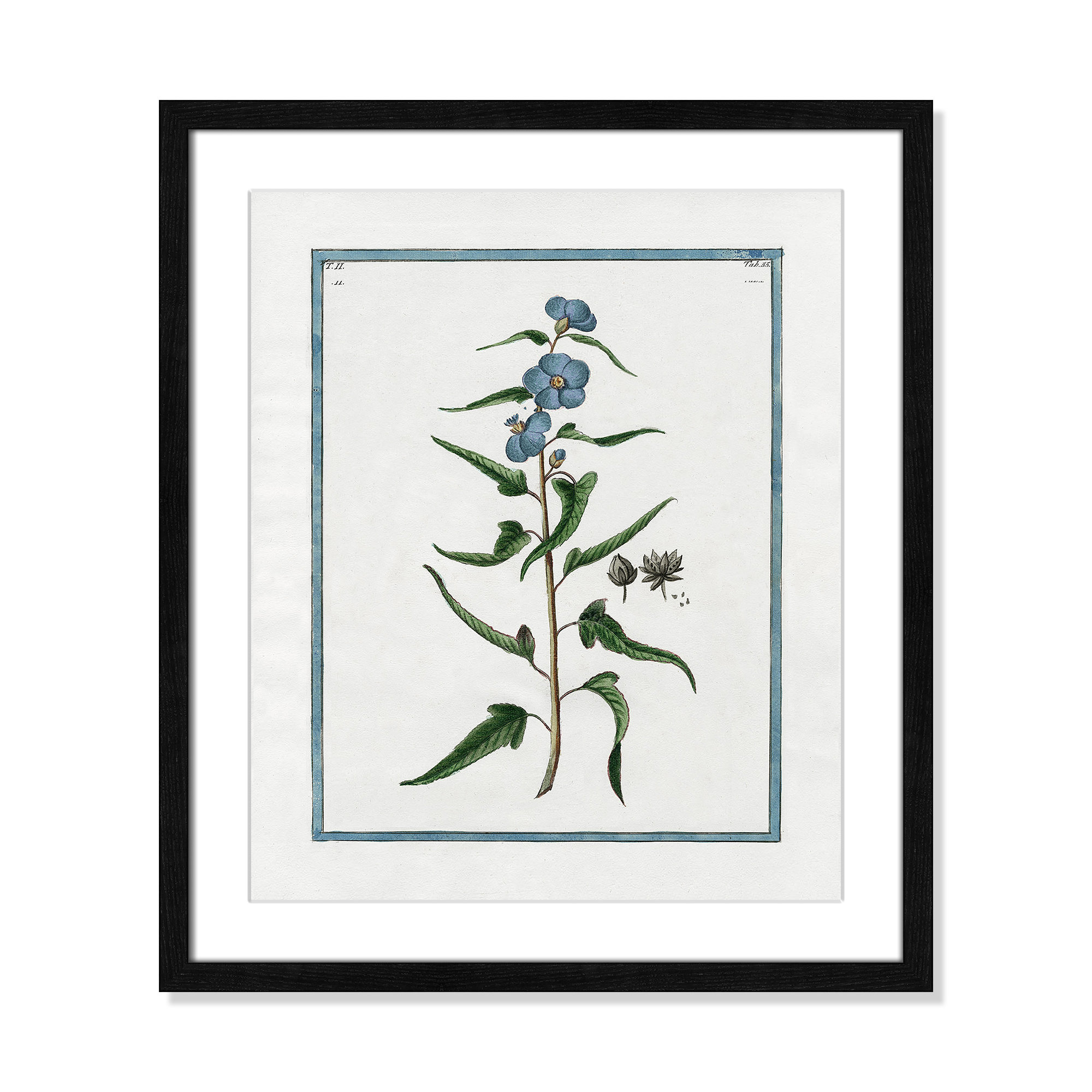 Shabby Elegance Botanical I - Framed Art Full Bleed, 16" W x 19" H, Black Framed