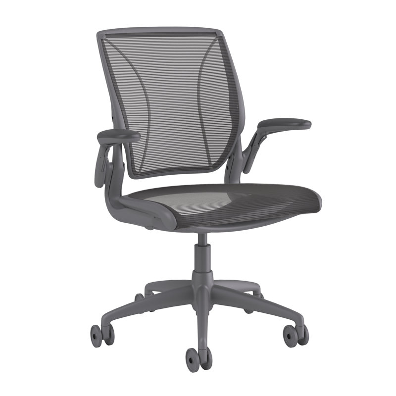 World Task Chair, Gray, Black, Adjustable