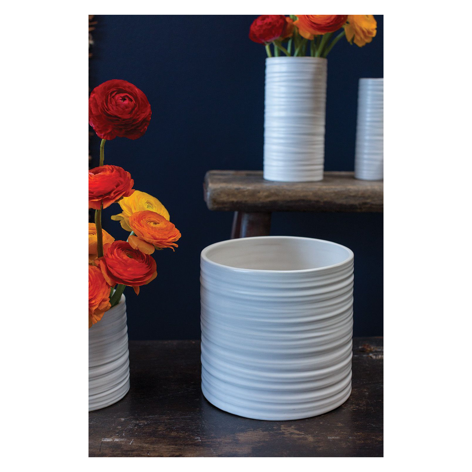 Tennyson Ceramic Indoor Pot Planter
