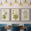 «Antique Leaves VII», ensemble de 3 peintures sur toile encadrées-1018014662-1018014667