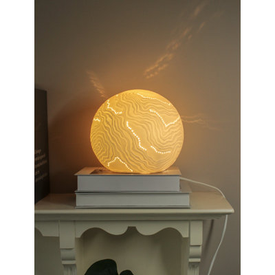 Baryn Novelty Lamp