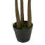 Arbre à figuier artificiel 59,1 "en pot