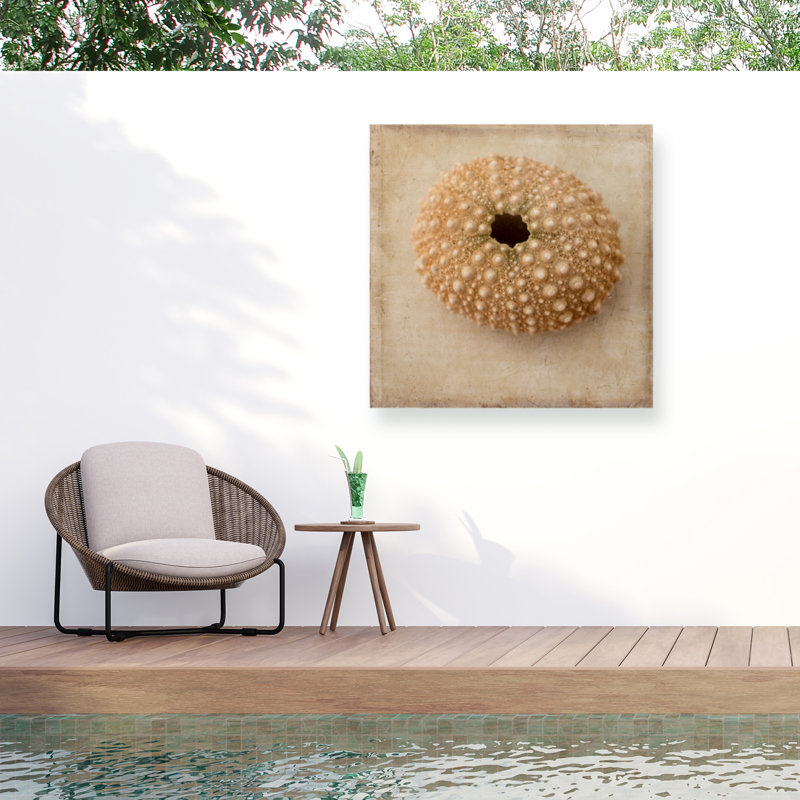 Toile d'extérieur Athene Judy Stalus «Sepia Shell III», H 35 po x l 35 po x P 1,5 po