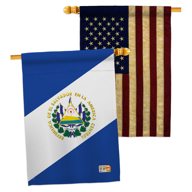 Double Sided 40'' H x 28'' W Polyester House Flag