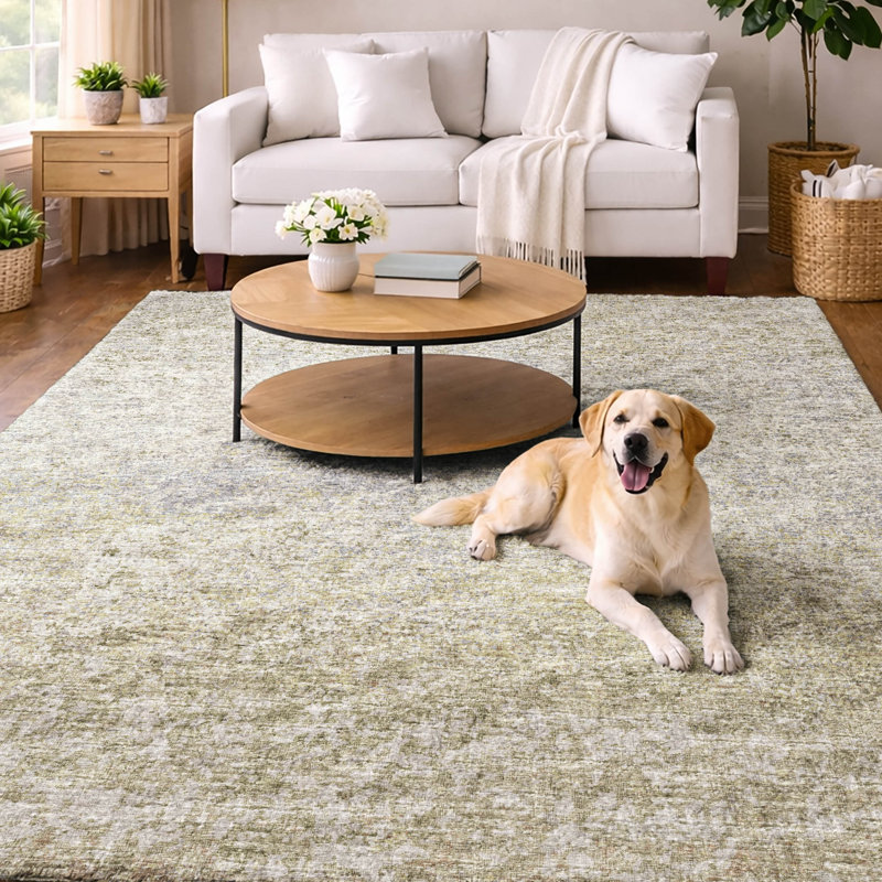 Tapis à poils longs de qualité supérieure lavable à la machine Dream Dream, Beige, 10 pi x 14 pi